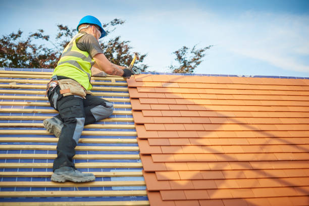 Best Roof Coating and Sealing  in Wilson, OK